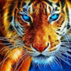 Meet your Posher, Larry